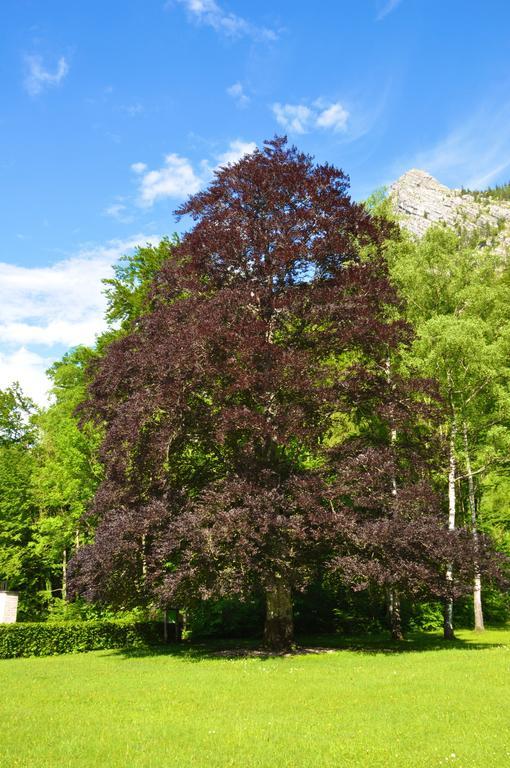 See-Hotel Post Am Attersee Weissenbach am Attersee Zewnętrze zdjęcie